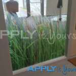Transparent window film with custom cut-to-shape design for a school with reeds / grass