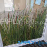 Transparent window film with custom cut-to-shape design with reeds / grass