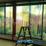 transparent window film with large forest photo divided across multiple windows