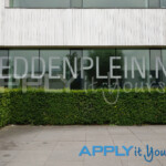 frosted window film project frosted lettering for the office wall apply it yourself